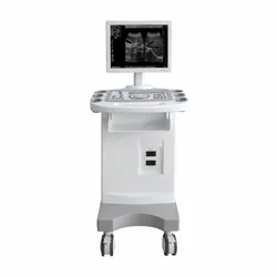 Digital Trolley B-W Ultrasound System